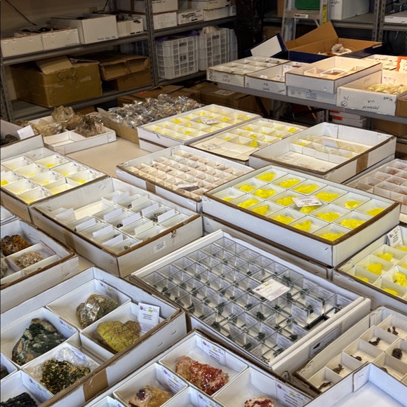 Unlisted items 2 - 01/29 - Picture 5 of 11